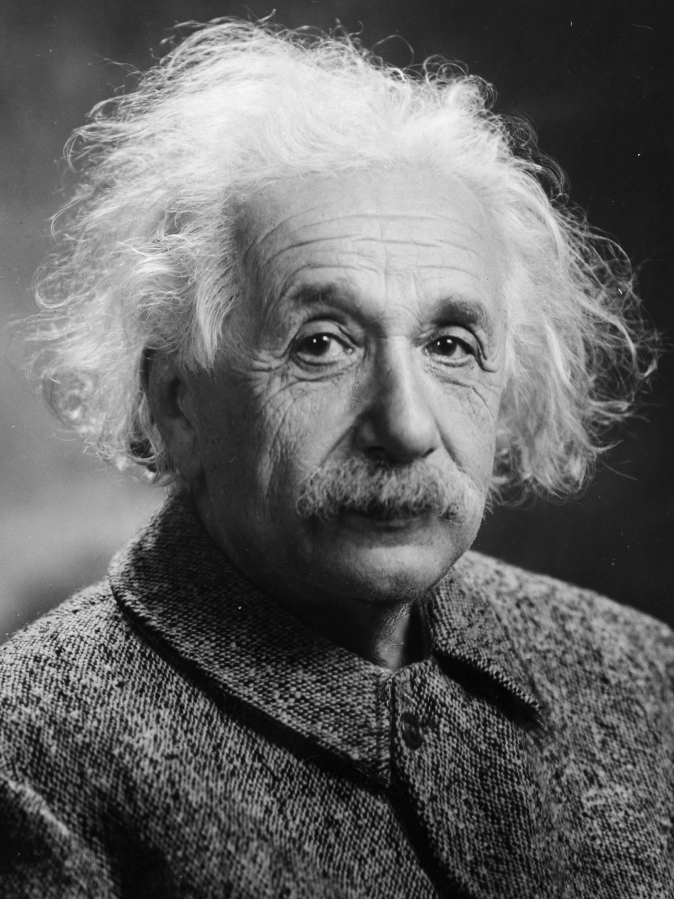 Portret Alberta Einsteina